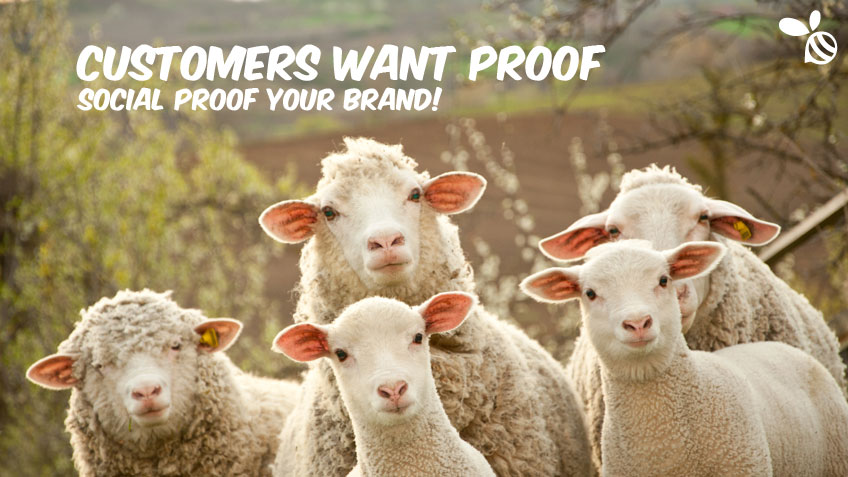 Social Proof Your Brand