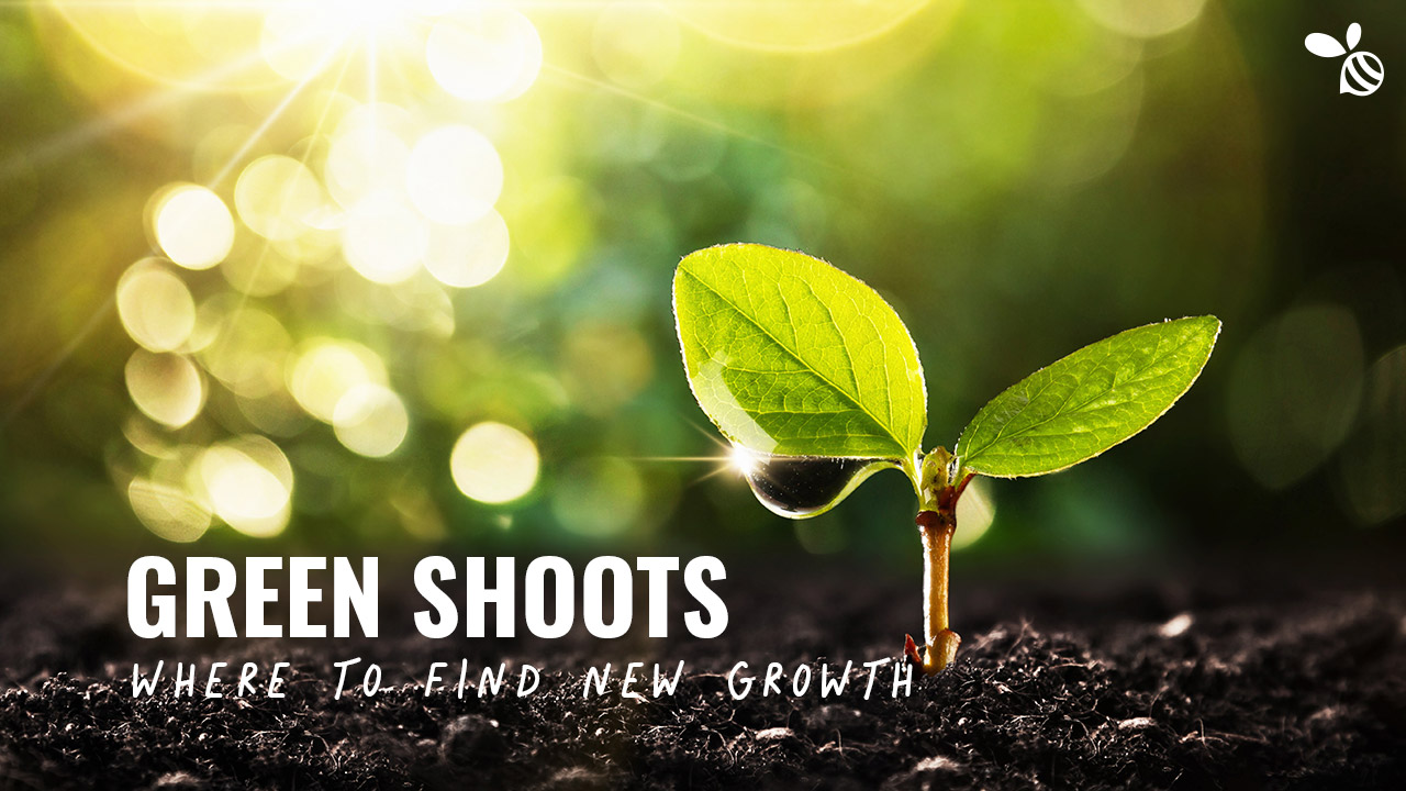The Four Zones: How to Find Green Shoots of Opportunity