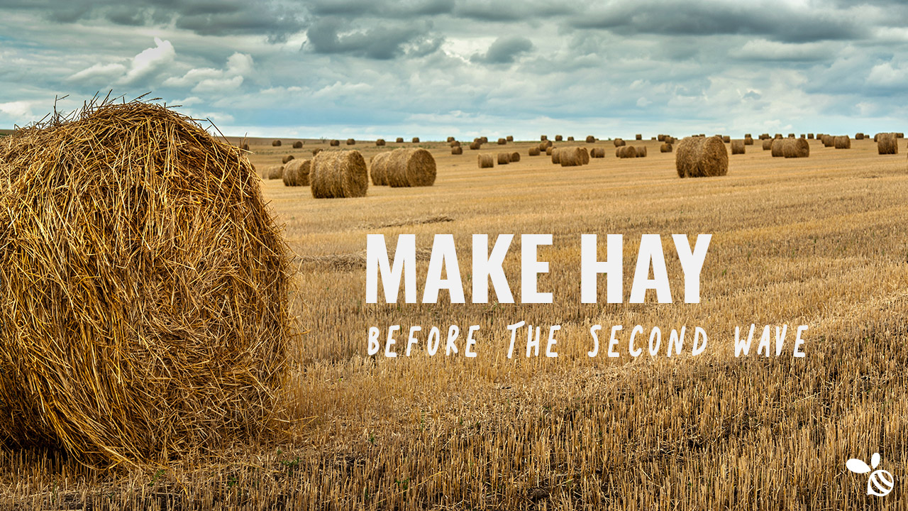 Make Hay Before the Second Wave