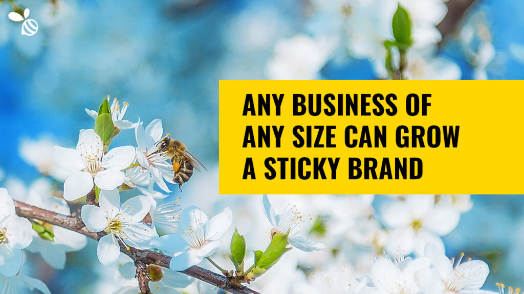 Anyone can grow a Sticky Brand